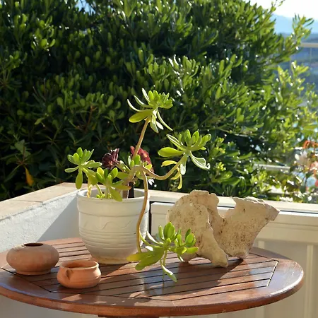Manos * Almyrida (Crete)